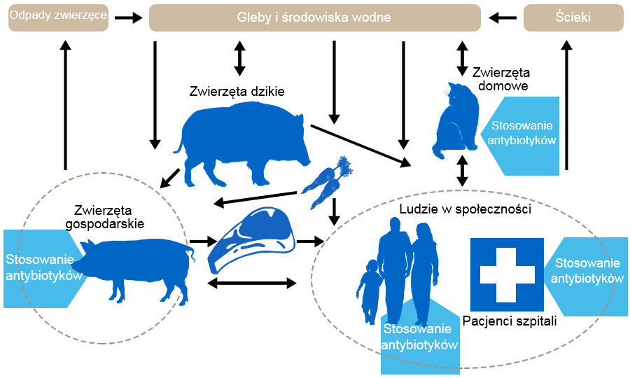 Światowy Tydzień wiedzy o antybiotykach